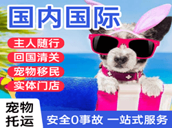 东河空运国际宠物托运 【国